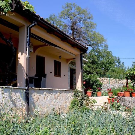 Holiday Home Gazevic Virpazar Dış mekan fotoğraf