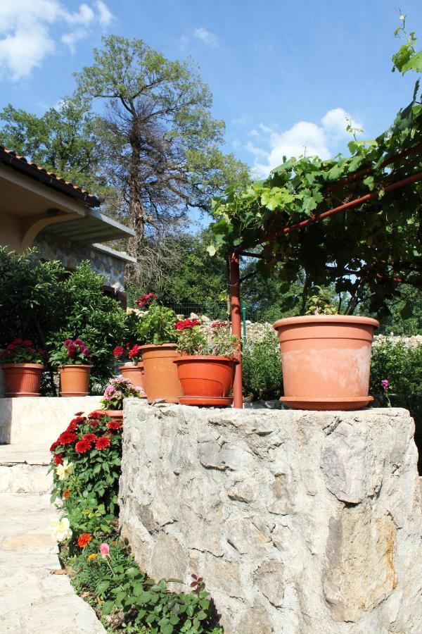 Holiday Home Gazevic Virpazar Dış mekan fotoğraf