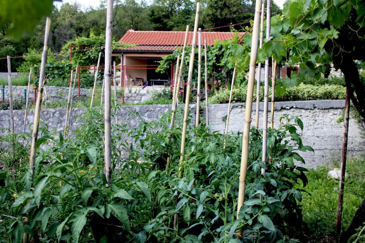 Holiday Home Gazevic Virpazar Dış mekan fotoğraf