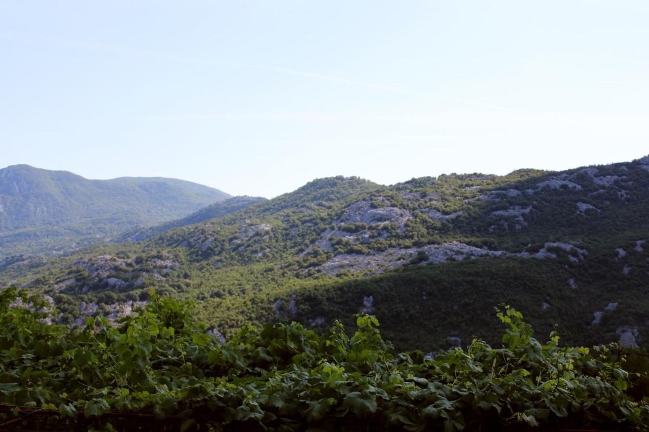 Holiday Home Gazevic Virpazar Dış mekan fotoğraf