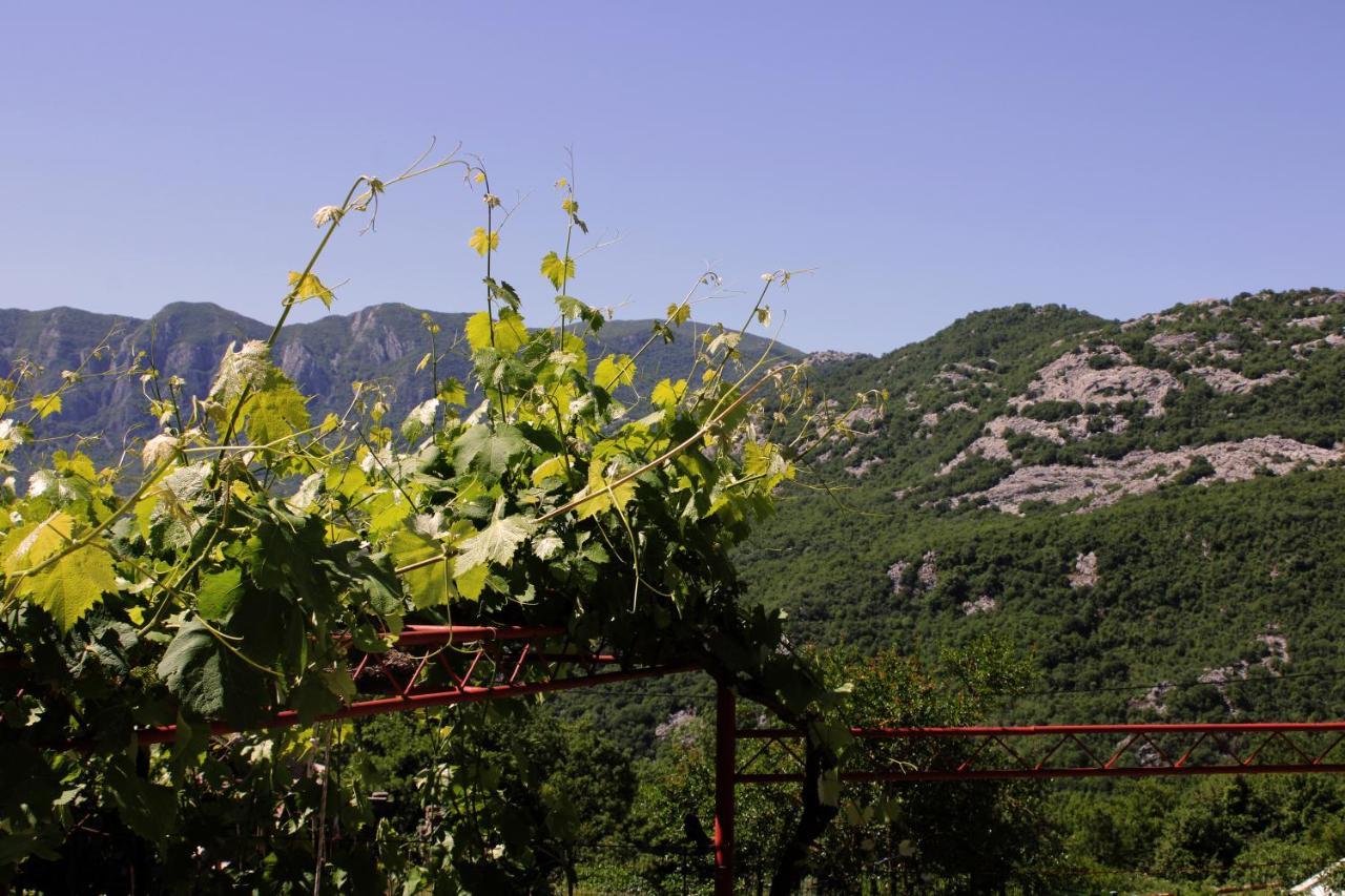Holiday Home Gazevic Virpazar Dış mekan fotoğraf