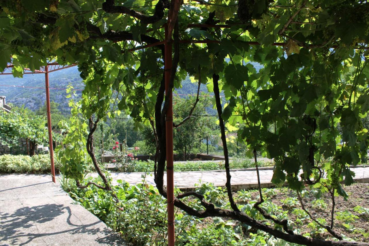 Holiday Home Gazevic Virpazar Dış mekan fotoğraf