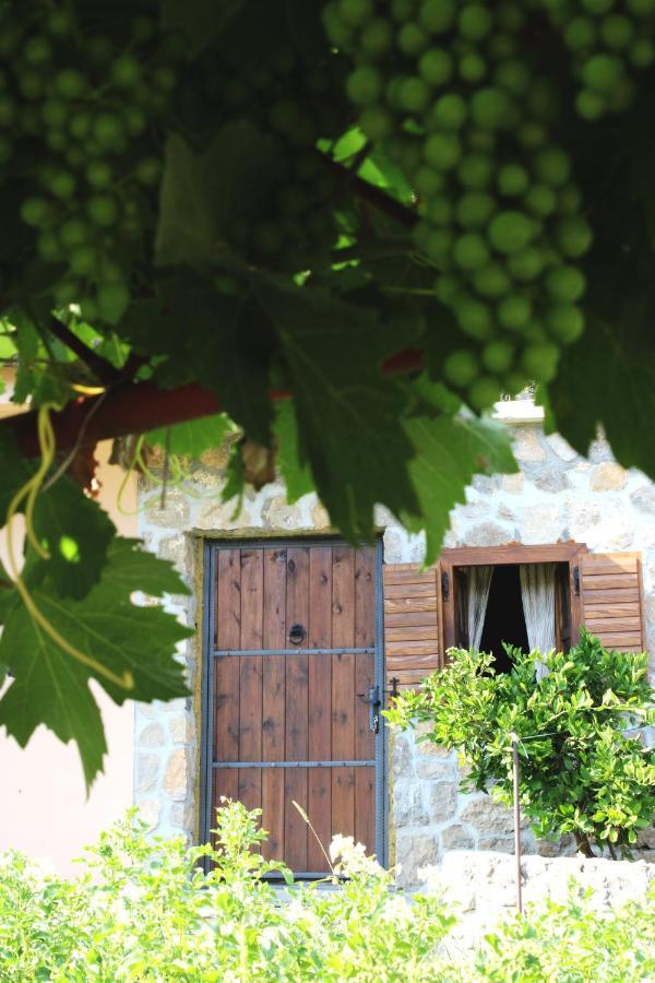 Holiday Home Gazevic Virpazar Dış mekan fotoğraf