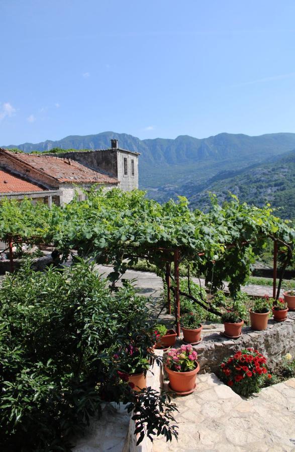Holiday Home Gazevic Virpazar Dış mekan fotoğraf